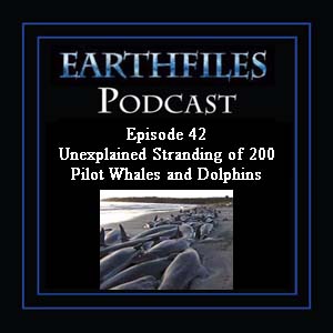 EarthFiles Episode 42