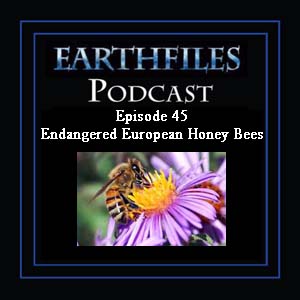 EarthFiles Episode 45