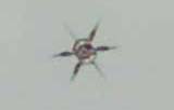 Spider-Like Drone Photographed Over Petten, Holland.



 
